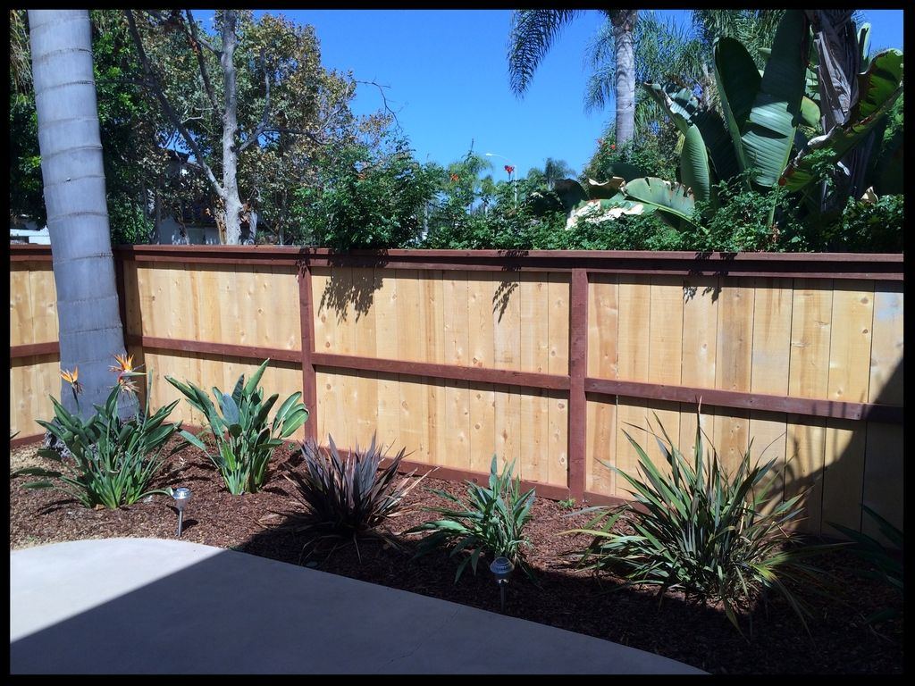 Wood fence with stained rails, garden side