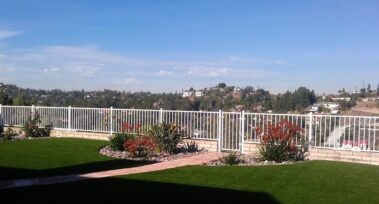 Ornamental Iron Fence